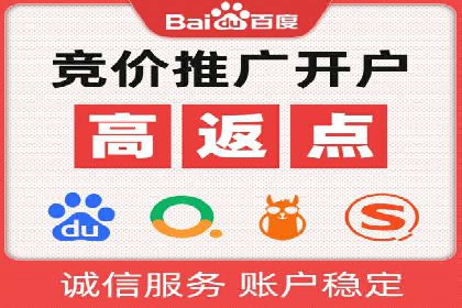 成功SEM服务案例：优化广告投放